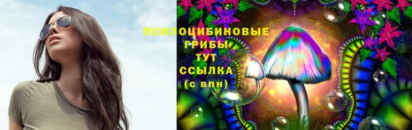 бошки Алексин