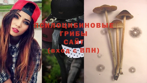 бошки Алексин