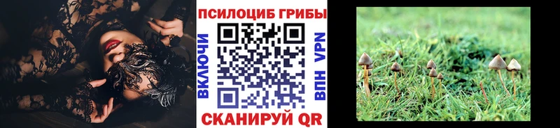 Псилоцибиновые грибы ЛСД  Ижевск 