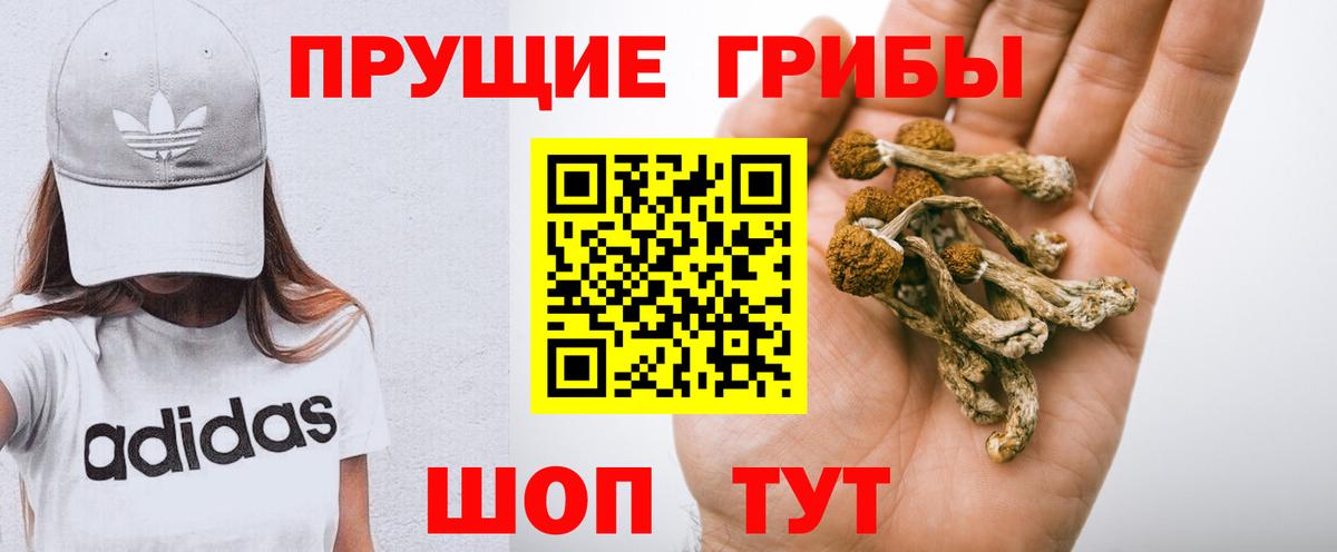 Галлюциногенные грибы Psilocybe  Вход с VPN  Ижевск 